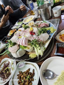 와사비 3