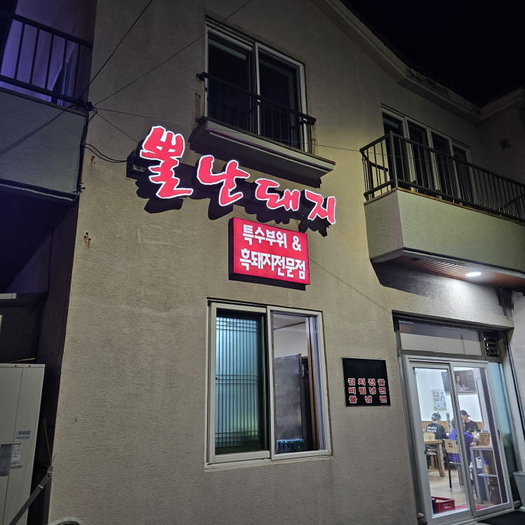 뿔난돼지 사진 8