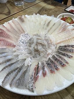 율리회살아있네 3