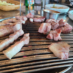 대평흑돼지 사진 6