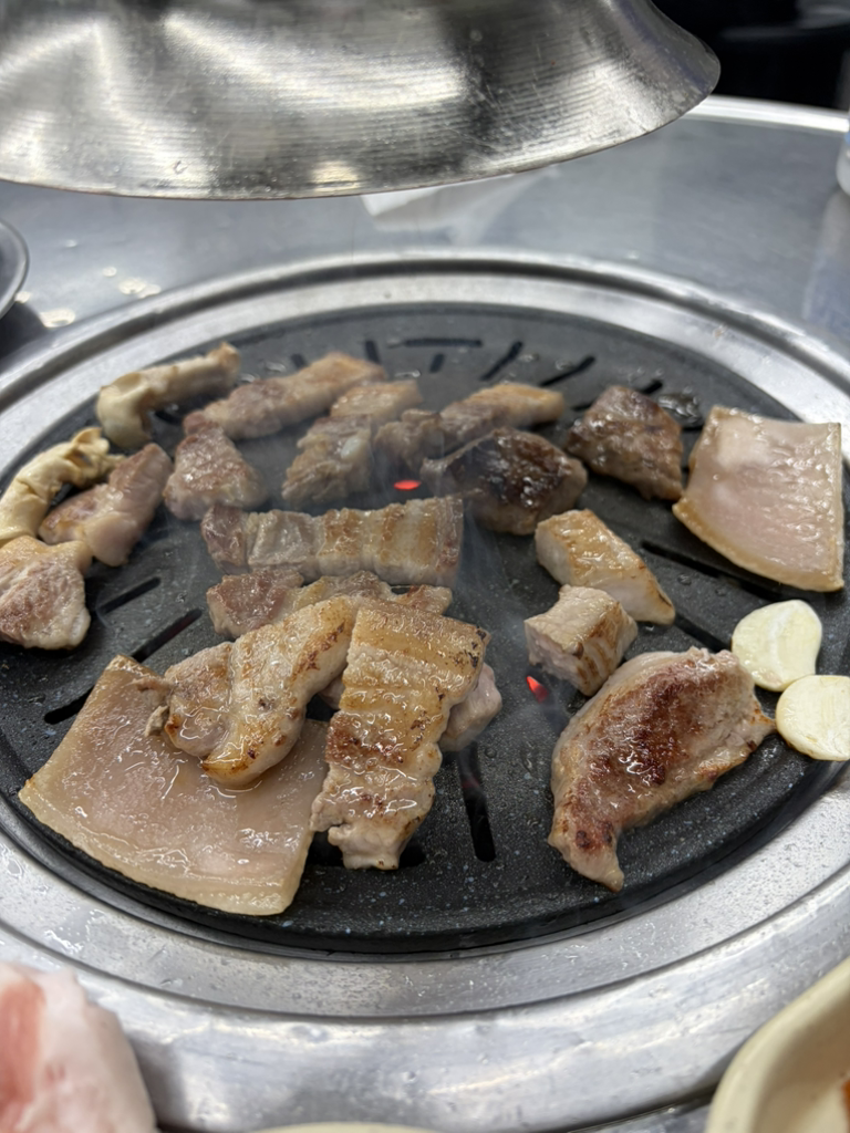 돼지나라갈매기꿈 1