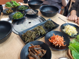 Sanchaega 4
