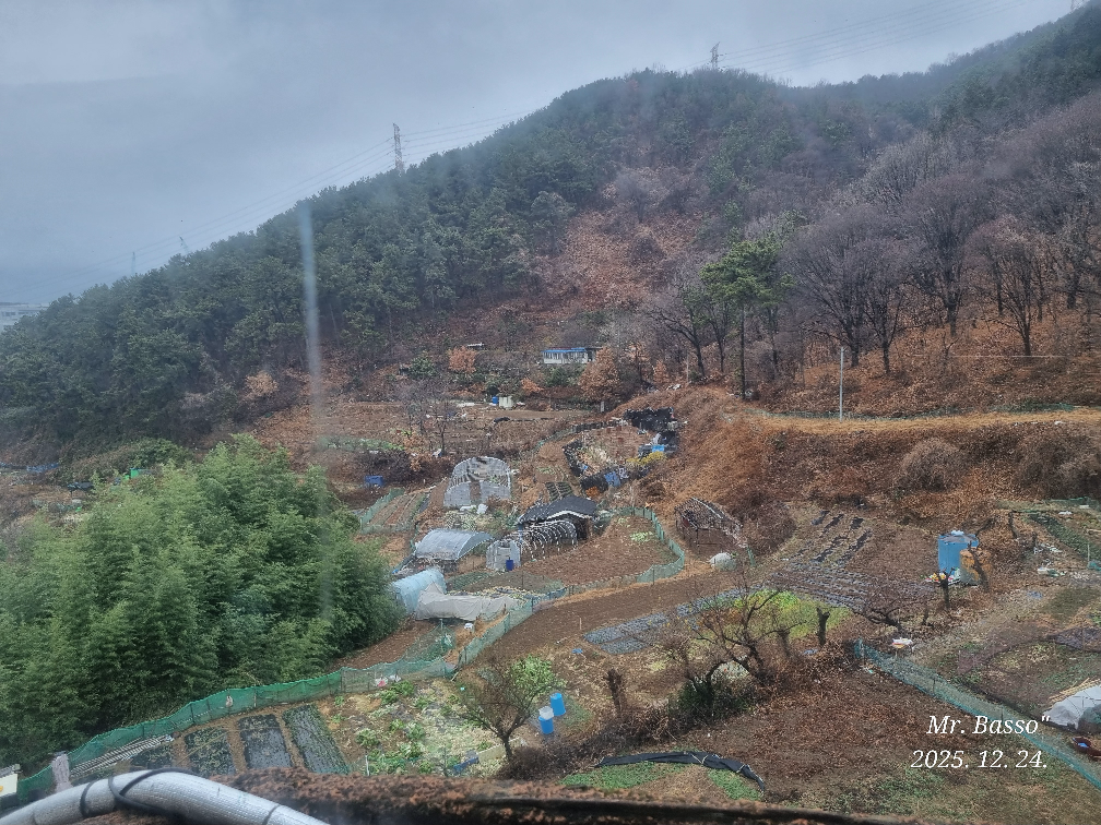 수차이나 사진