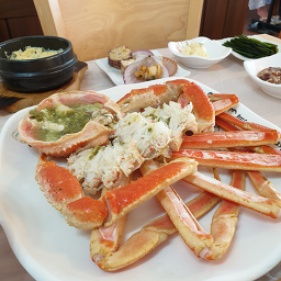 오대양회집 4