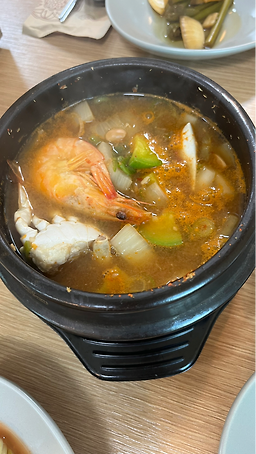 편백돈나무 사진 5