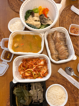편백돈나무 사진 7