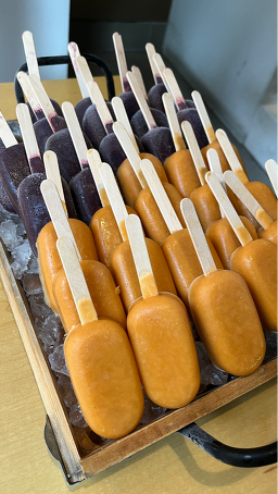 팔마 사진 2