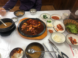 터전 6