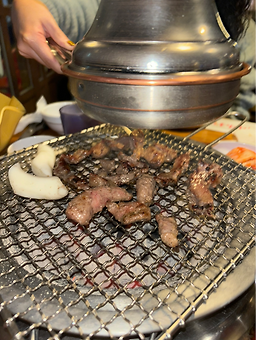 서울갈매기 사진 3