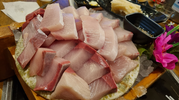 둥근바다 5