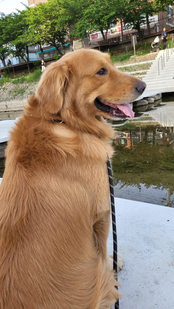 오레노라멘 3