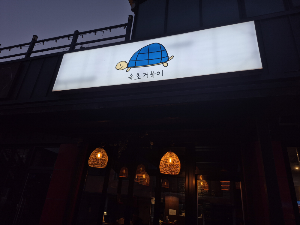 속초거북이 2