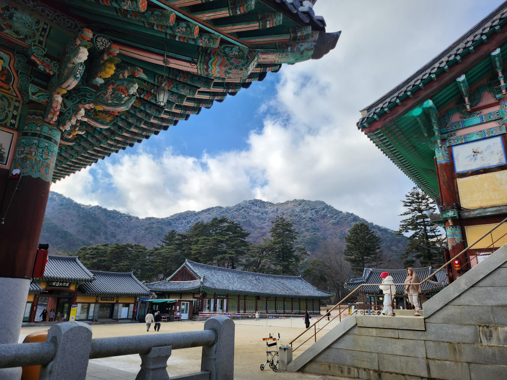 Hapcheonkkaseudong (합천까스동) 3