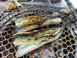 싱싱참숯장어 5