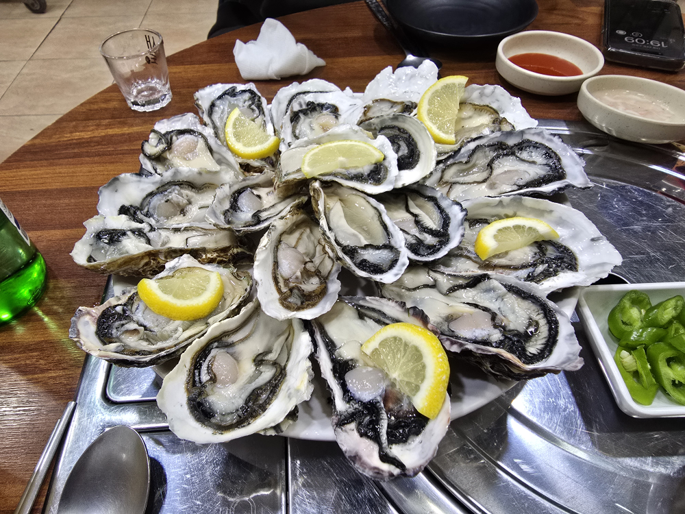 생굴사랑 3