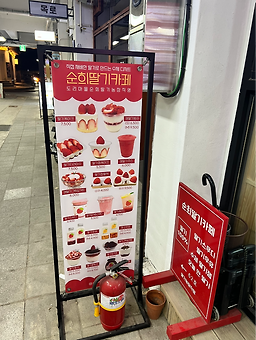 순희딸기 5