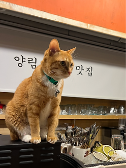 Eomeijingapeurika (어메이징아프리카) 2