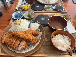 가츠오 사진 5