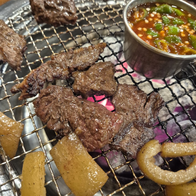 불타는갈매기 아라점 사진 4