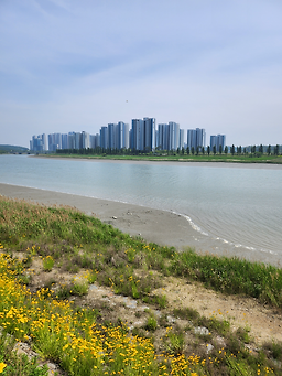 Cheonggiwagamjatang (청기와감자탕) 3