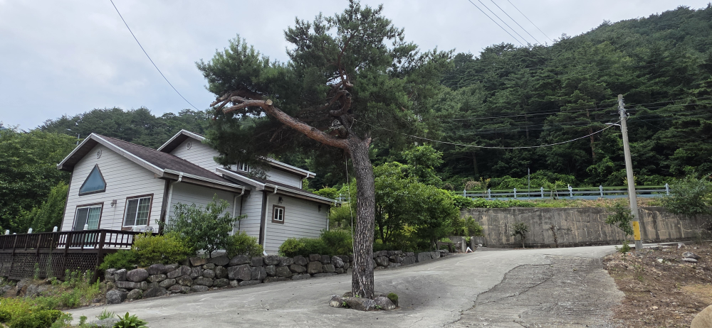 Jakeunmaeul (작은마을) 3