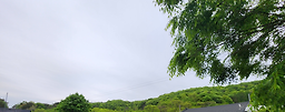 Hyeongsanganggadeun (형산강가든) 3