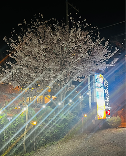 수정궁 6