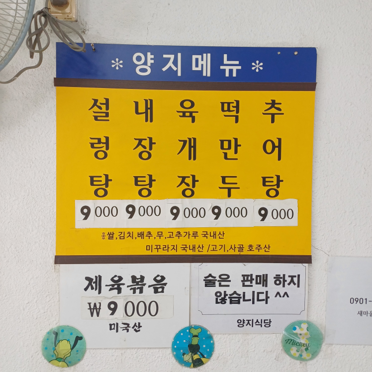 양지 5