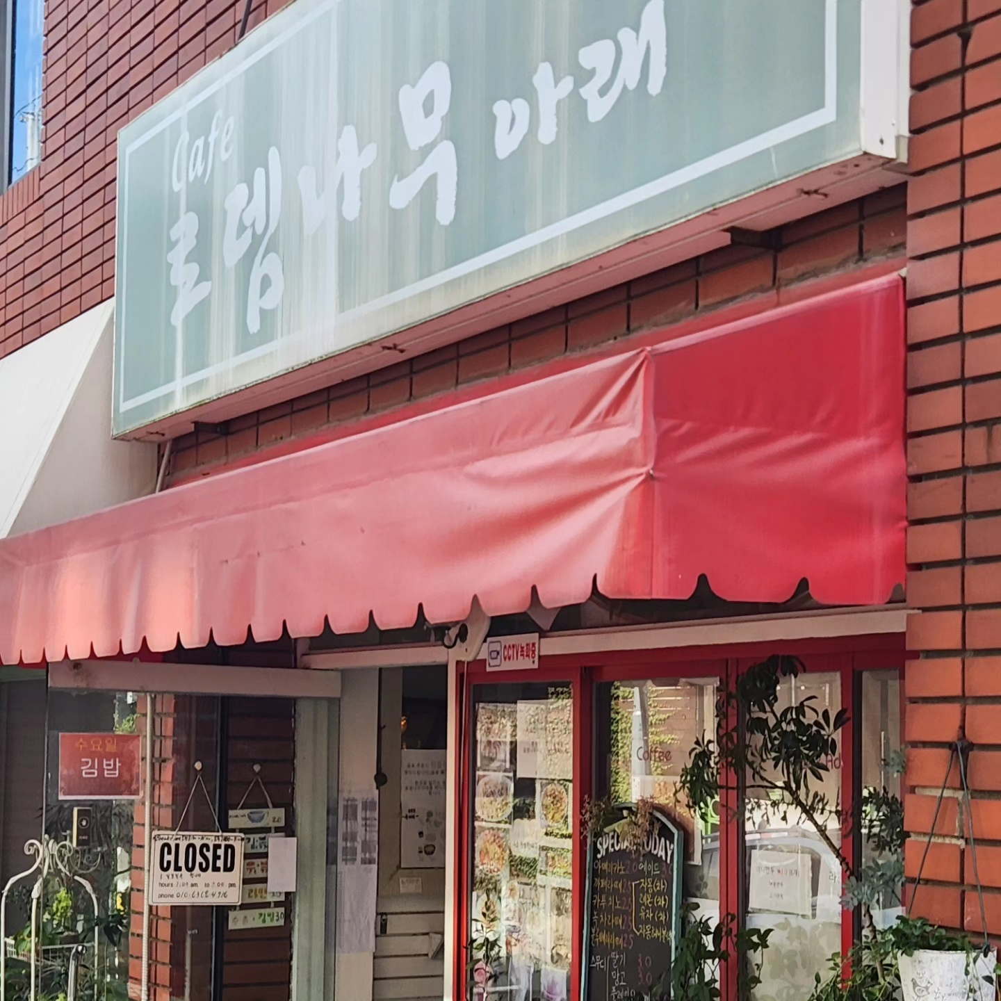 카페 로뎀나무아래