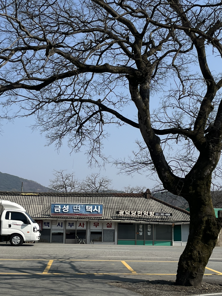 카페드존아웃