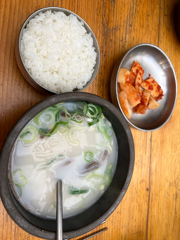 Neutinamu (느티나무) 3