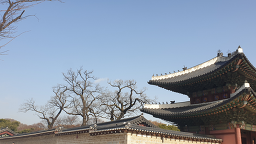 병천황토방순대 종로창덕궁점 대표 사진