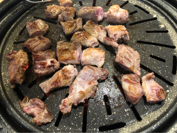 진짜돼지 사진 7