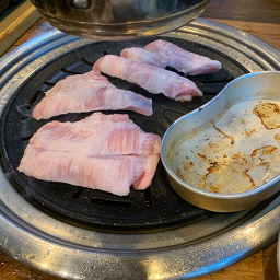 도야지 사진 2