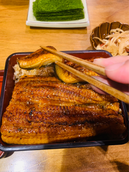 타마 사진 8