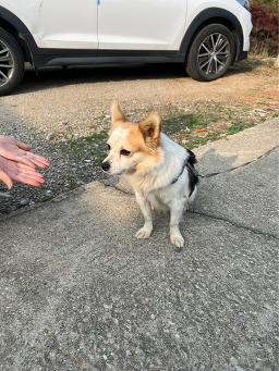 Gohyangnongga (고향농가) 3
