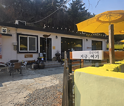 Jigeumyeogi, eunhaengnamujip (지금여기, 은행나무집) 3