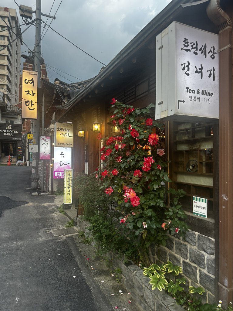 흐린세상건너기