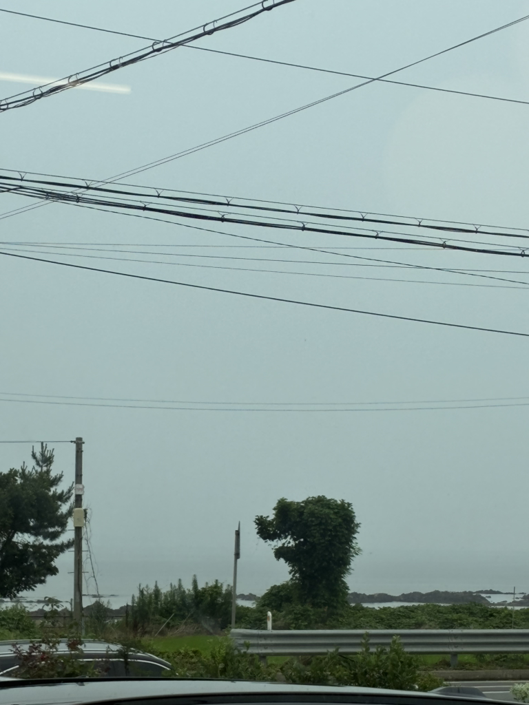 애견동반