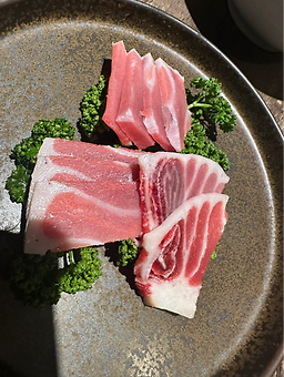 카메참치 사진 6