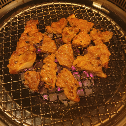 특우정 사진 5