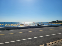 반건조오징어 사진 4