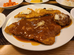 오로라 4