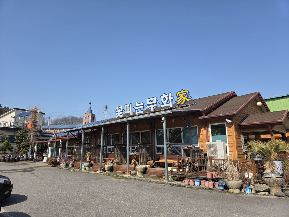 꽃피는무화가 4