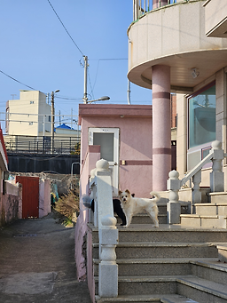 할매전복집 5