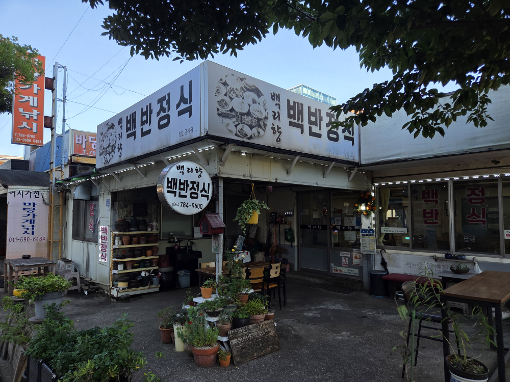 백리향 대표 사진