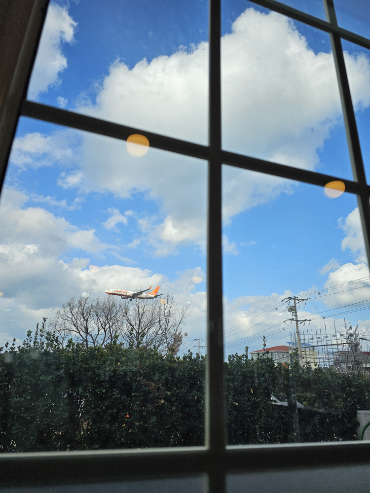 제주어항 사진 2