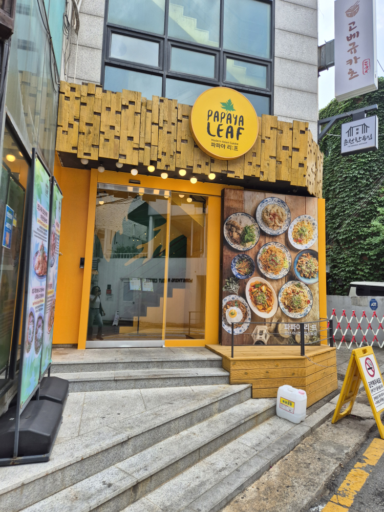 파파야리프 대표 사진