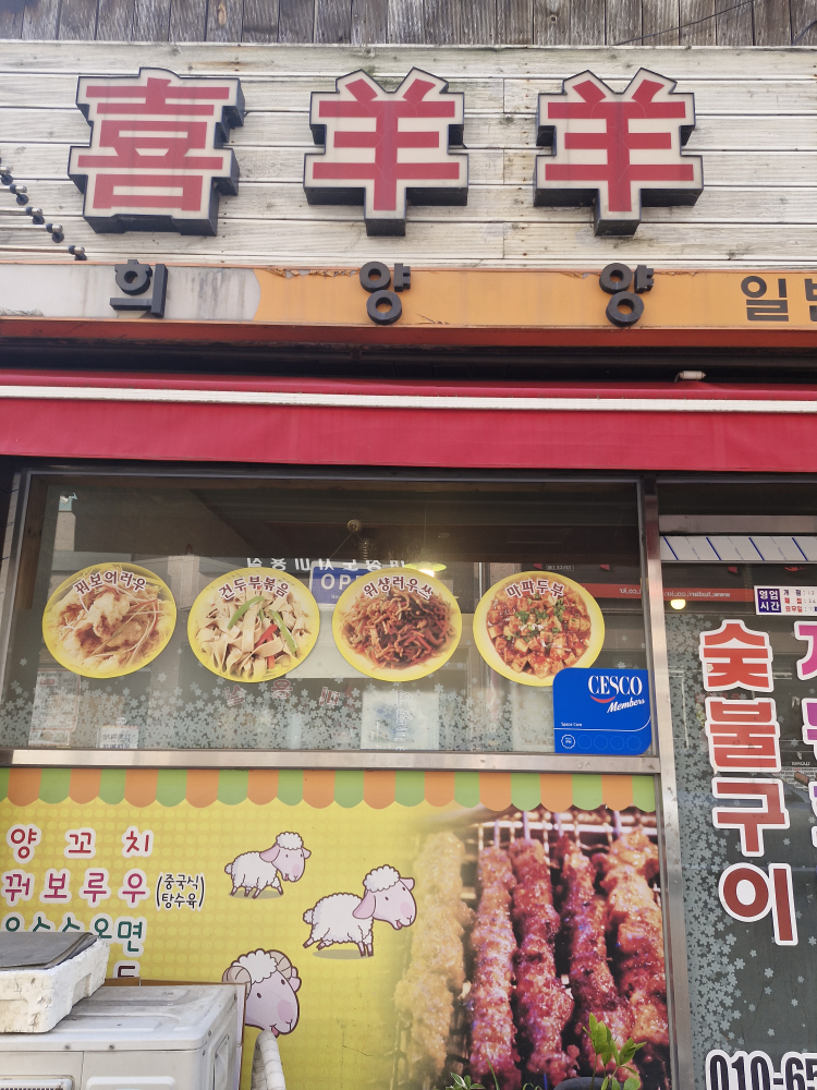 희양양 1