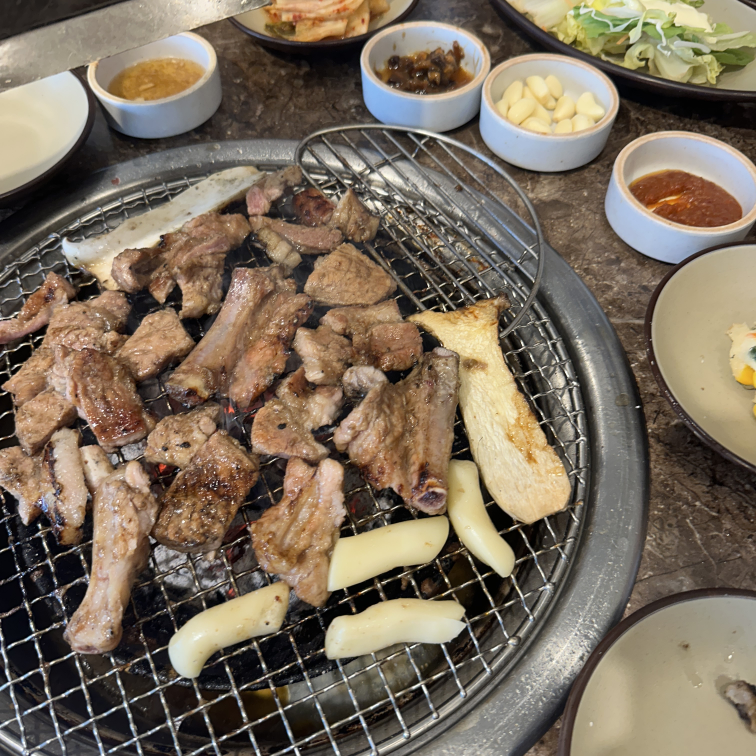 신촌새나리 4